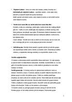 Referāts 'Georga Zimmela devums socioloģijā', 2.