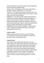 Referāts 'Georga Zimmela devums socioloģijā', 3.