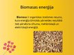 Prezentācija 'Enerģijas avotu alternatīvas Latvijā', 7.