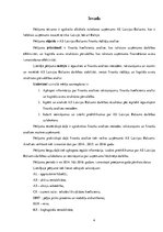 Referāts 'AS "Latvijas balzams" finanšu analīze', 4.