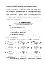 Referāts 'AS "Latvijas balzams" finanšu analīze', 55.