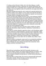 Referāts 'Cilvēku un dabas mijiedarbība', 13.