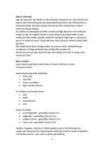 Referāts 'Upju transports', 4.