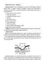 Referāts 'Ziņojums - izgulējumi', 5.