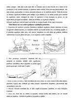 Referāts 'Ziņojums - izgulējumi', 6.