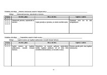 Prakses atskaite 'Aprūpes plāns pediatrijā, infekcijas nodaļā', 14.