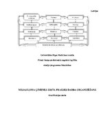 Referāts 'Māsas loma ģimenes ārsta prakses darba organizēšanā', 1.