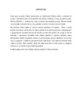 Referāts 'Māsas loma ģimenes ārsta prakses darba organizēšanā', 4.