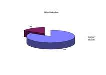 Diplomdarbs 'Meža bioloģiskās daudzveidības kritēriju un indikatoru sistēmas pielietošanas vē', 20.