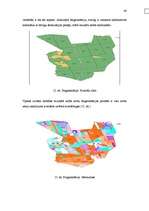 Diplomdarbs 'Meža bioloģiskās daudzveidības kritēriju un indikatoru sistēmas pielietošanas vē', 92.