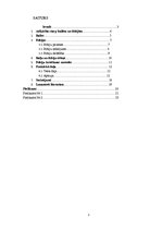 Referāts 'Bailes un fobijas', 3.