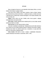 Referāts 'Bailes un fobijas', 4.