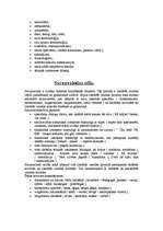 Referāts 'Latviešu valodas kultūra un stili', 4.