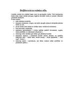 Referāts 'Latviešu valodas kultūra un stili', 5.