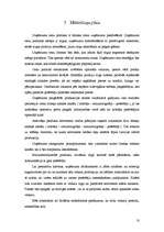 Biznesa plāns 'Biznesa plāns mēbeļu ražotnei Cēsīs', 10.