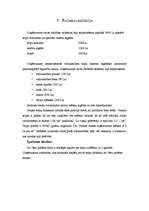 Biznesa plāns 'Biznesa plāns mēbeļu ražotnei Cēsīs', 13.