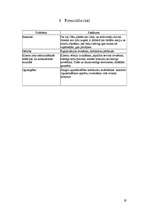 Biznesa plāns 'Biznesa plāns mēbeļu ražotnei Cēsīs', 19.