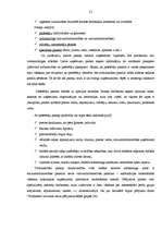 Referāts 'Mārketinga pētījumi', 21.