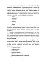 Referāts 'Izejvielu uzskaite, kontrole un analīze', 9.