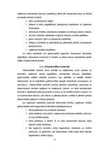 Referāts 'Izejvielu uzskaite, kontrole un analīze', 13.