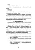 Referāts 'Izejvielu uzskaite, kontrole un analīze', 20.