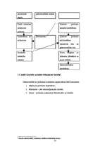 Referāts 'Izejvielu uzskaite, kontrole un analīze', 23.
