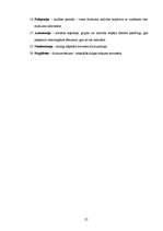 Referāts 'Mīlestība', 27.