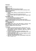 Konspekts 'Divu mācību stundu plāni 9.klasei par valodas stiliem', 1.