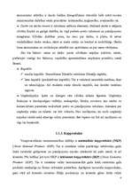 Referāts 'Mikroekonomika, makroekonomika', 6.