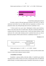 Prakses atskaite 'Prakses atskaite uzņēmumā "X"', 18.