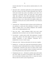 Prakses atskaite 'Prakses atskaite uzņēmumā "X"', 26.