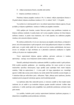 Prakses atskaite 'Prakses atskaite uzņēmumā "X"', 46.