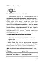 Diplomdarbs 'Šķiedru optikas tehnoloģiju izmantošana sakaru tīklos līdz gala abonentam', 26.