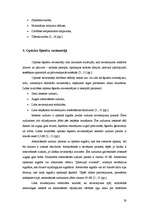 Diplomdarbs 'Šķiedru optikas tehnoloģiju izmantošana sakaru tīklos līdz gala abonentam', 28.