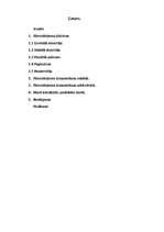 Referāts 'Ģeometriskie pārveidojumi', 2.