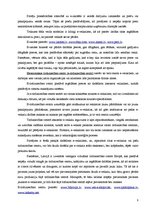 Referāts 'E-biznesa loma uzņēmuma konkurētspējā', 8.