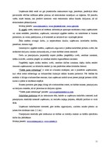 Referāts 'E-biznesa loma uzņēmuma konkurētspējā', 11.