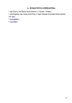 Referāts 'E-biznesa loma uzņēmuma konkurētspējā', 14.