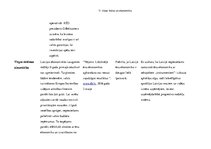 Konspekts 'Valsts funkcijas', 4.