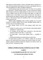 Referāts 'Psiholoģija', 8.