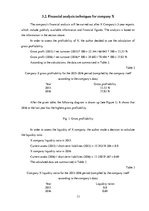 Referāts 'Financial Analysis', 13.