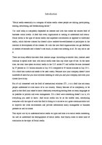 Referāts 'Social Media', 2.