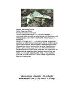 Referāts 'Indīgās sēnes', 7.