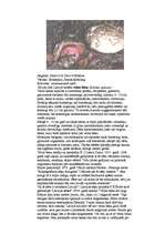 Referāts 'Indīgās sēnes', 15.