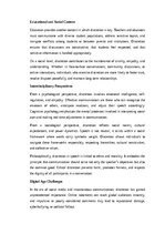 Eseja 'Discretion in Speech is More Than Eloquence', 4.