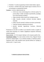 Konspekts 'Skolioze', 6.