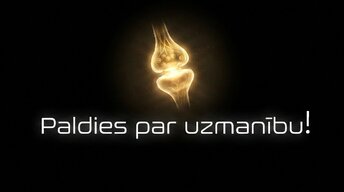 Prezentācija 'Muguras smadzenes un to vadīšanas ceļi', 13.
