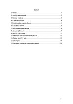 Referāts 'Kinematogrāfijas aizsākumi Japānā. Mēmais kino', 1.