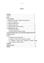 Referāts 'Anglicismi mūsdienu latviešu valodā žurnālā "Sīrups"', 4.