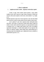 Referāts 'Anglicismi mūsdienu latviešu valodā žurnālā "Sīrups"', 6.